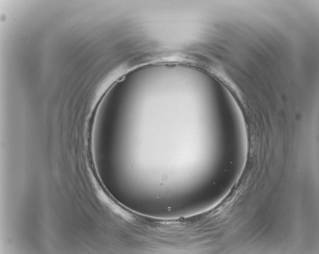 X0000059831483200510241408