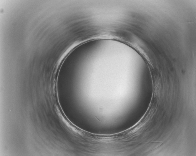 X0000059831484200510241408