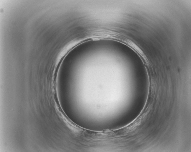 X0000059831485200510241408