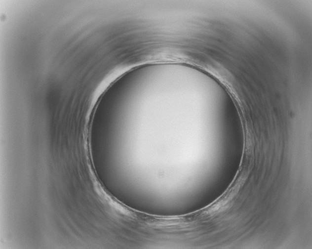 X0000059831486200510241408