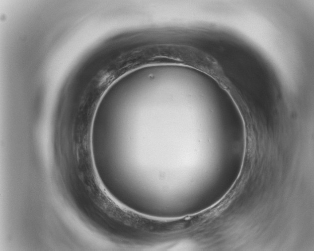 X0000059831487200510241408