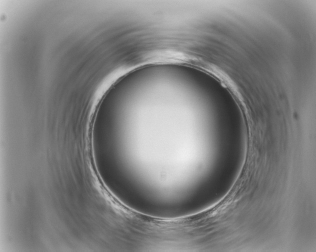 X0000059831488200510241408