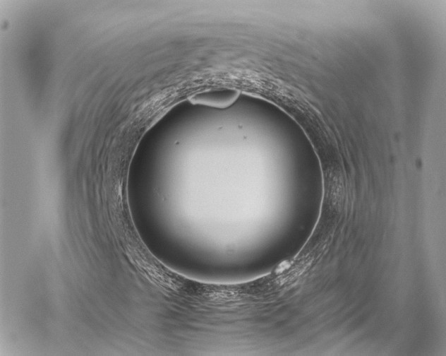 X0000059831489200510241407