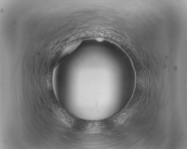 X0000059831490200510241407