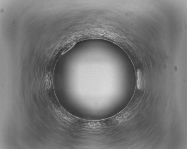 X0000059831491200510241407