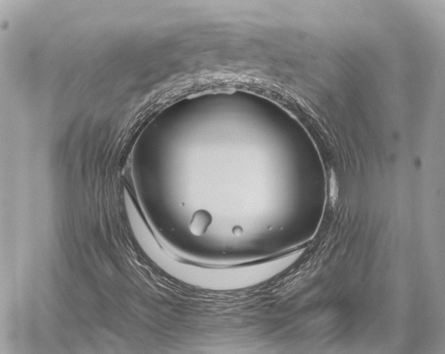 X0000059831492200510241407