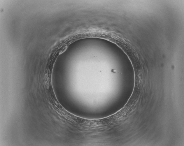 X0000059831493200510241407