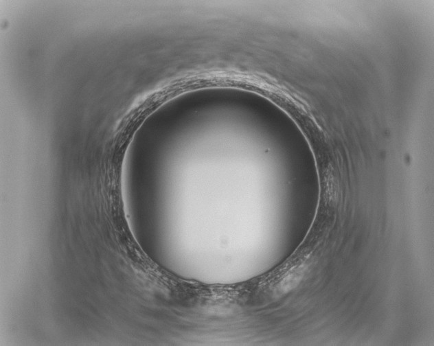 X0000059831494200510241407