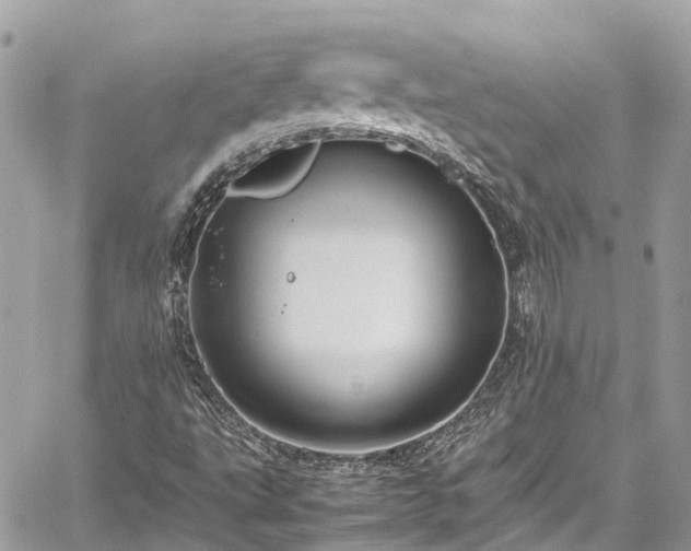 X0000059831495200510241407