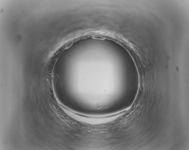 X0000059831496200510241407