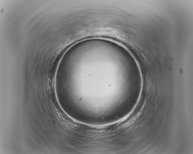 X0000059831497200510241407