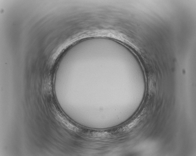 X0000059831498200510241407