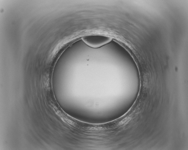 X0000059831499200510241407