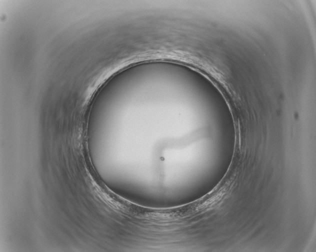 X0000059831500200510241407