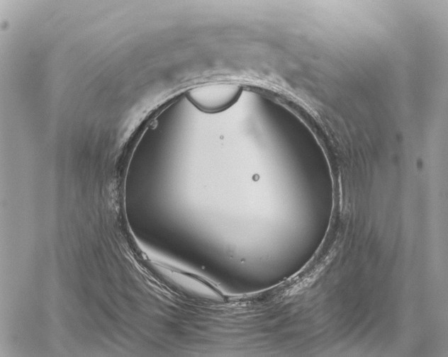 X0000059831501200510241407