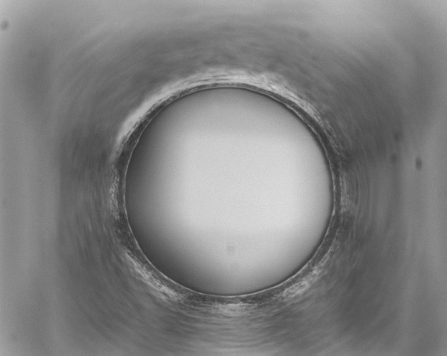 X0000059831502200510241408