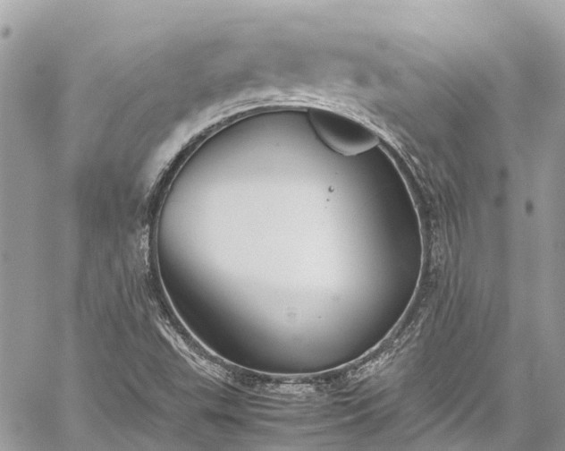 X0000059831503200510241408