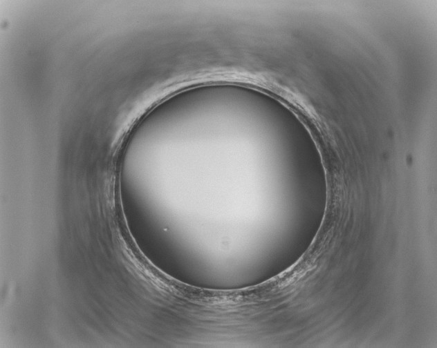 X0000059831504200510241408