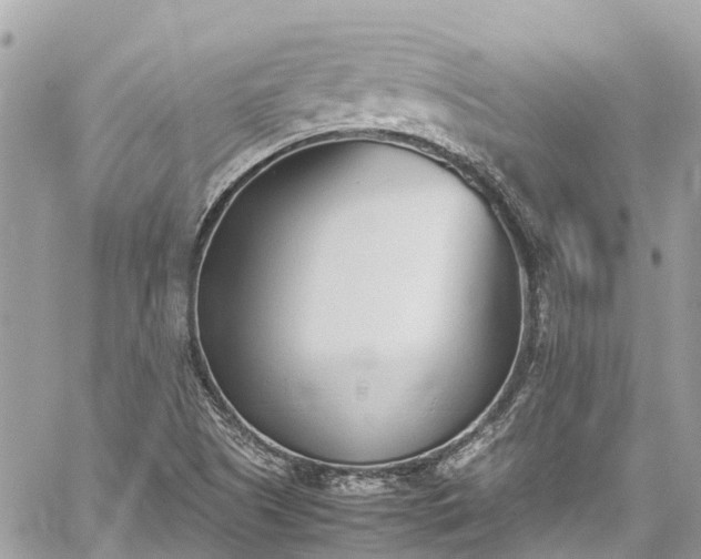 X0000059831505200510241408