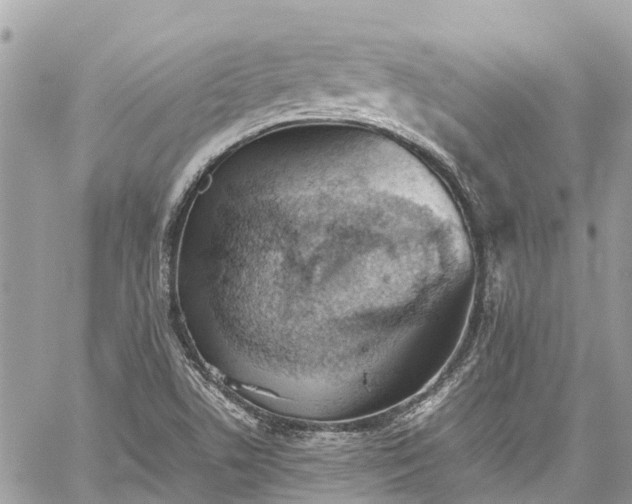 X0000059831506200510241408