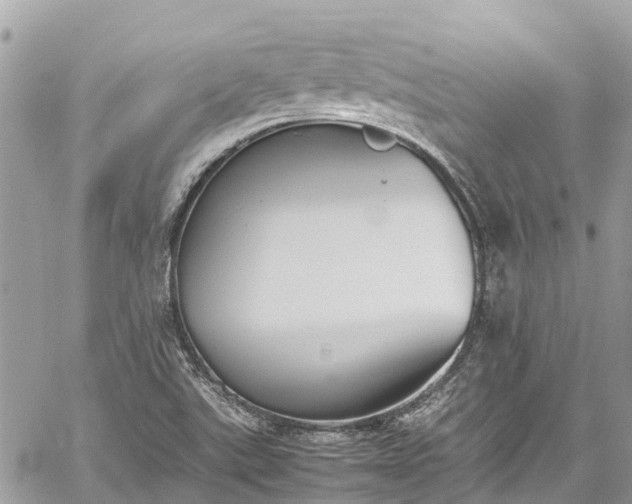 X0000059831507200510241408