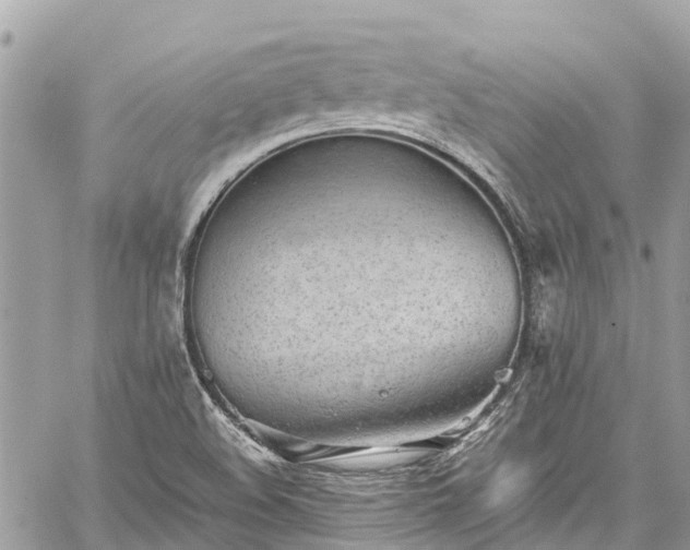 X0000059831508200510241408