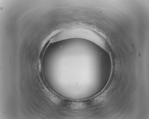 X0000059831509200510241408