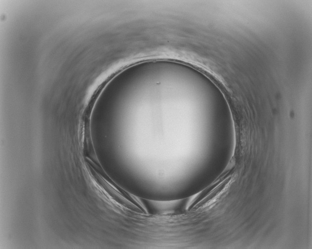 X0000059831510200510241408