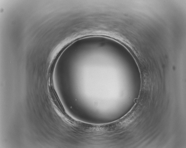 X0000059831511200510241408