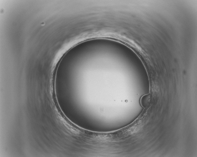 X0000059831512200510241408