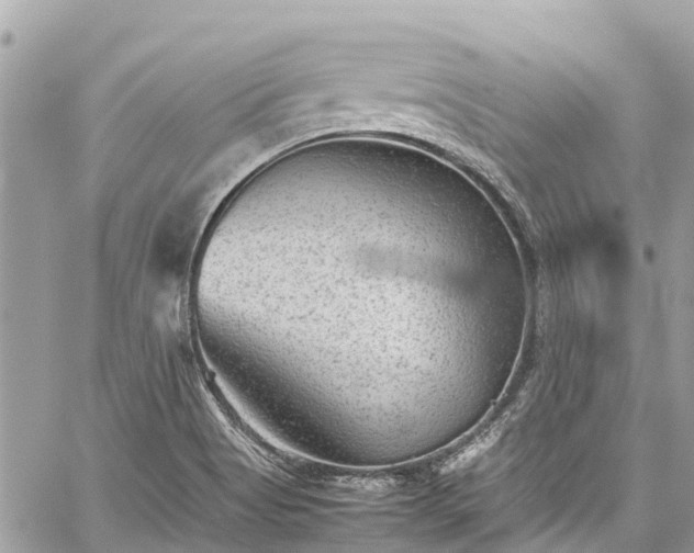 X0000059831513200510241408