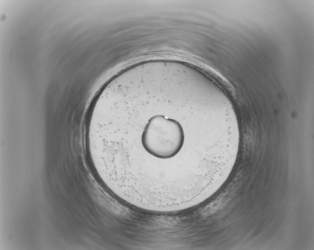 X0000059831514200510241408