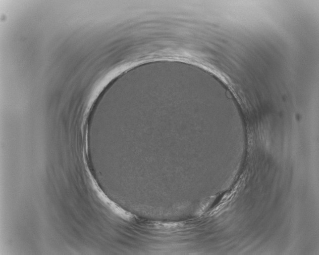 X0000059831515200510241408