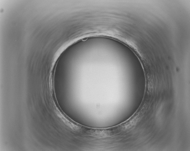 X0000059831516200510241408