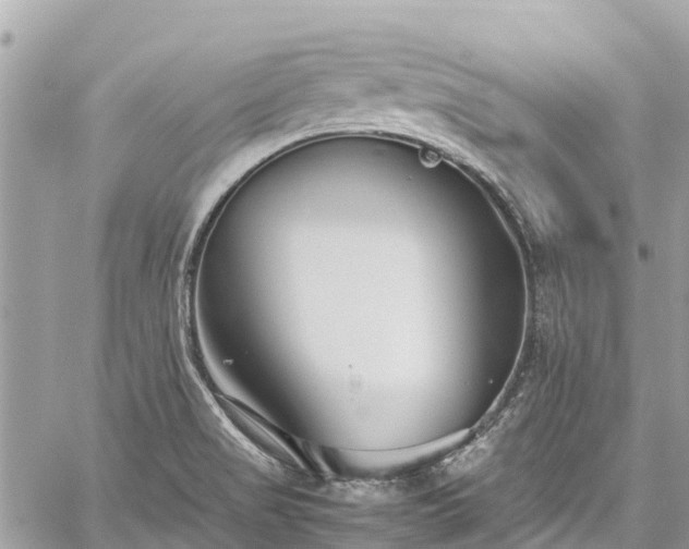 X0000059831517200510241408