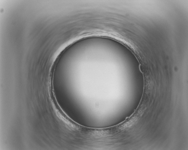 X0000059831518200510241408