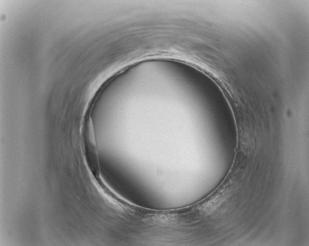 X0000059831519200510241408