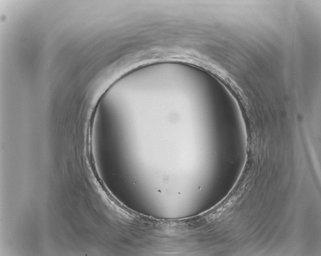 X0000059831520200510241408