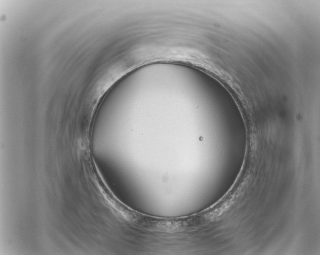 X0000059831521200510241408