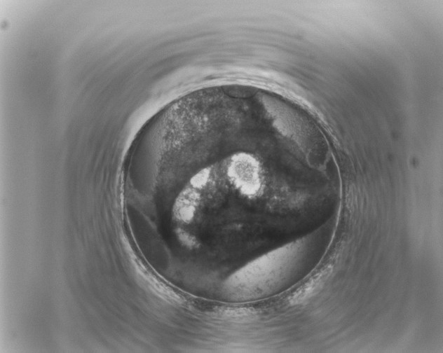 X0000059831522200510241408