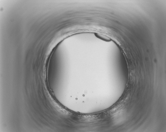 X0000059831523200510241408