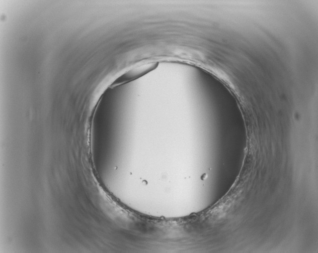 X0000059831524200510241408