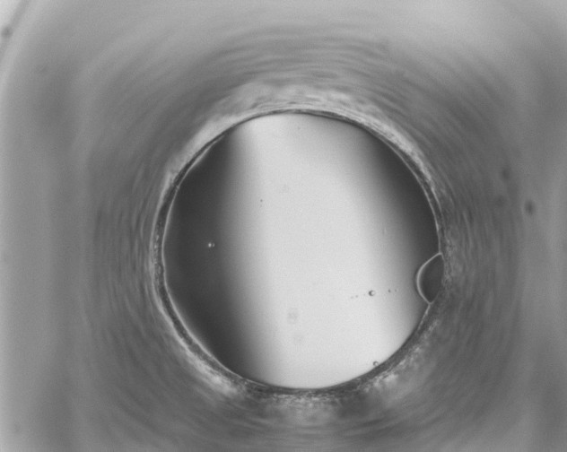 X0000059831525200510241408