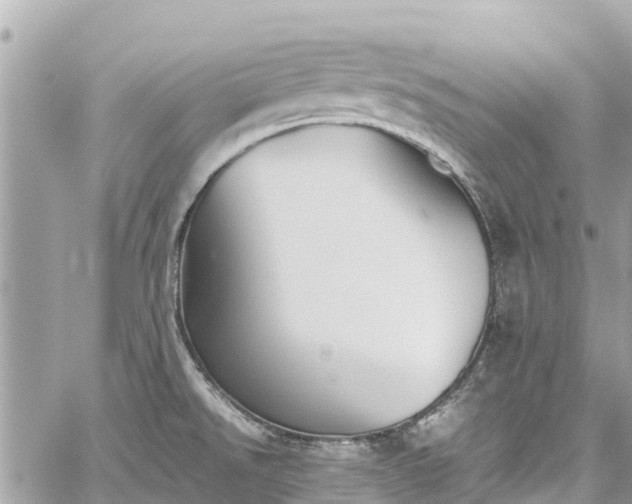 X0000059831526200510241408