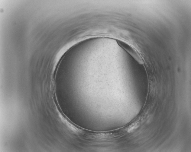 X0000059831527200510241408