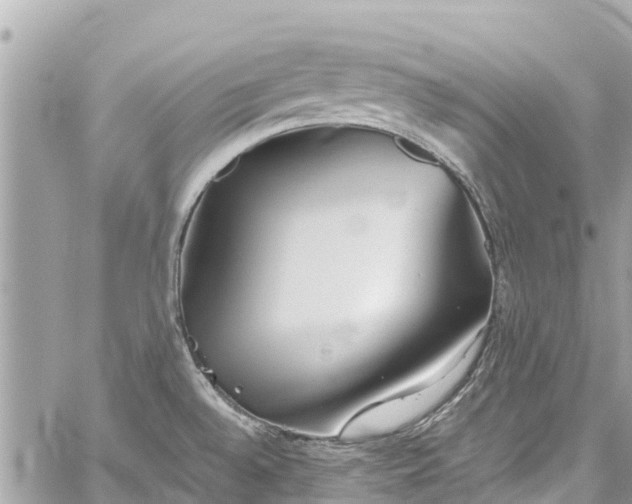 X0000059831528200510241408