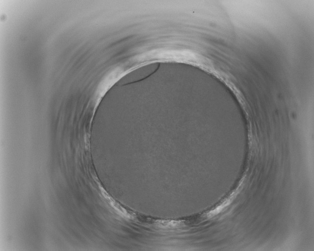 X0000059831529200510241408