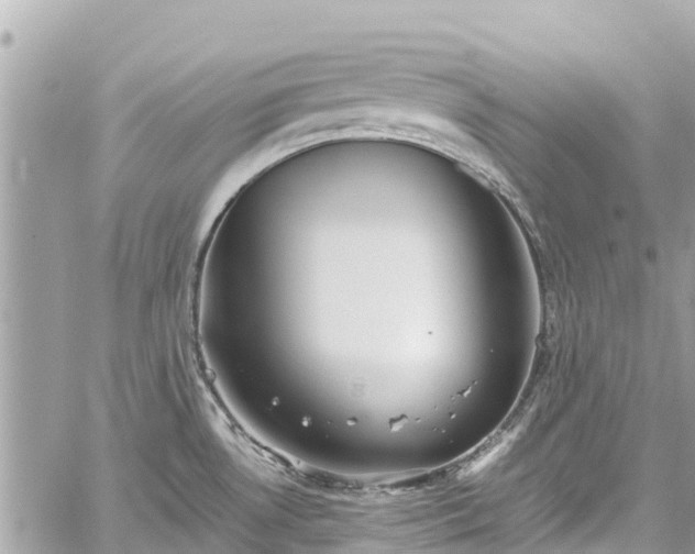 X0000059831530200510241408