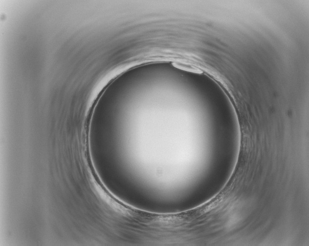 X0000059831531200510241408