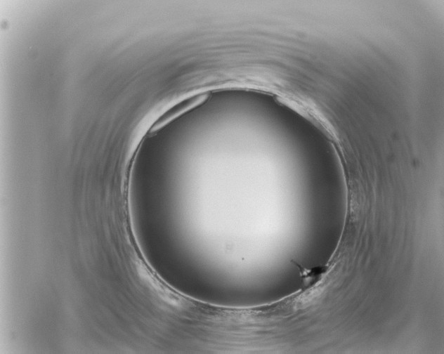 X0000059831532200510241408